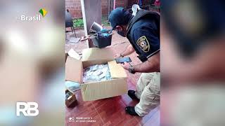 Cinco Países Se Unem Contra A Ografia Infantil No Brasil