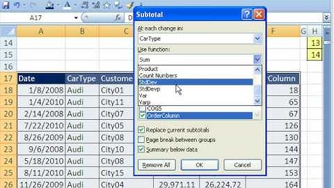 Highline Excel Class 18: Subtotals
