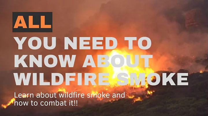 Clear the Air: The Top Air Purifier Picks for Wildfire Smoke Defense!