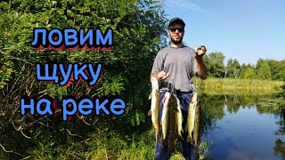 картинка: Открытие сезона по щуке. Ito Shiner от Bearking сделал рыбалку