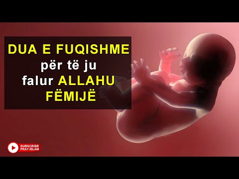 Video: A ju ndihmon folati për të mbetur shtatzënë?