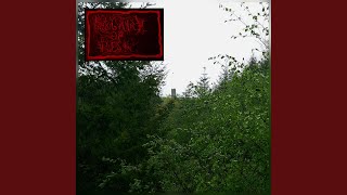 Wanderings of a Wizard I - (The Fort)