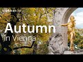 5 Reasons to Visit Vienna in Autumn