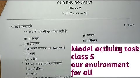 Model activity task class 5 Our Environment ( हमारा पर्यावरण) in Hindi /class 5 hamara paryavaran
