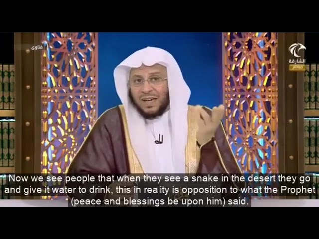 حكم اقتناء الحيوانات المفترسة كالأسد أو النمر أو الدب وغيرها؟ | الشيخ عزيز بن فرحان