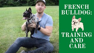 Training and Exercise Tips for French Bulldog & Frenchton Puppies