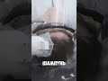 В Китае волосы моют роботы #китай #будущее #роботы