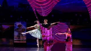 Georgia Dance Theatre Auditions 2024