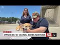 Summer racing returns to Colonial Downs; corgi races added to weekend lineup