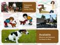 Fetch Pet Care of Cherry Hill's Online Commercial Fetch Pet Care of Cherry Hill's Online Commercial