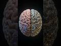 MIT LLM usage and Brain Activity #mit #chatgpt #claude #ai #brain