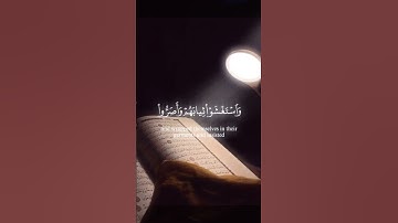 تلاوة خاشعة تهز القلوب 💔 | "قال رب إني دعوت قومي..." بصوت ماهر المعيقلي