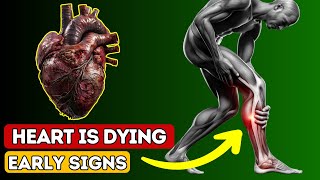 HEART IS DYING! 12 Weird Signs Of HEART DAMAGE | Vitazen Health