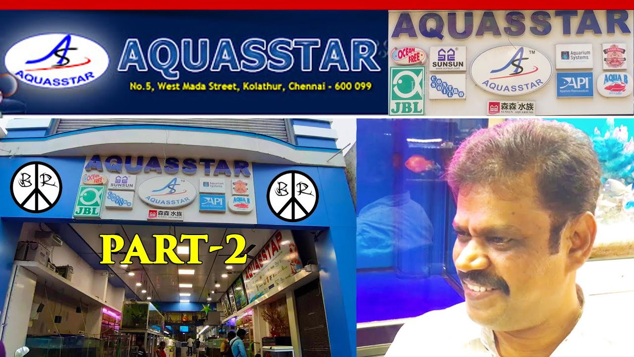 Kolathur Vlog Aquastar Part 2 A Z Aquarium Products க ளத த ர Chennai Youtube