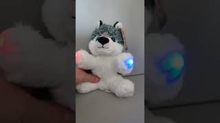 Rem Pod Husky Ghost Hunting tool @TheLordofAudits