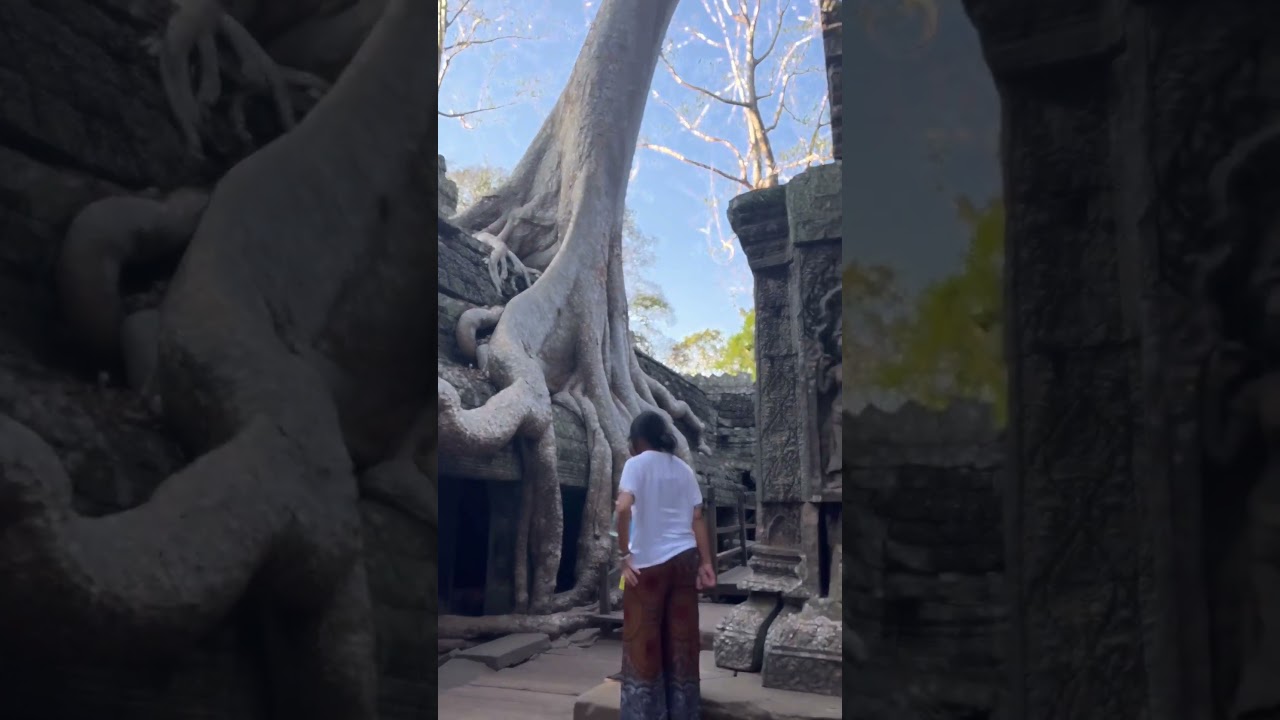 Temple in Cambodia 🇰🇭 
