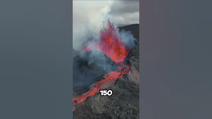 Tardigrades: Nature’s Ultimate Survivors!