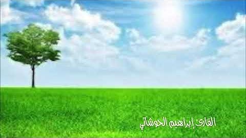 قراءة من وحي الخيال للقارئ إبراهيم الحوشاني