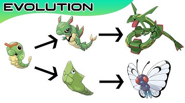 Top 20 Pokémon Evolutions You Didn