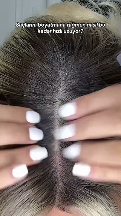 The Ceel Biberiye Suyu