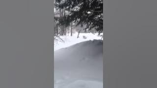 Fire Siren Going Off