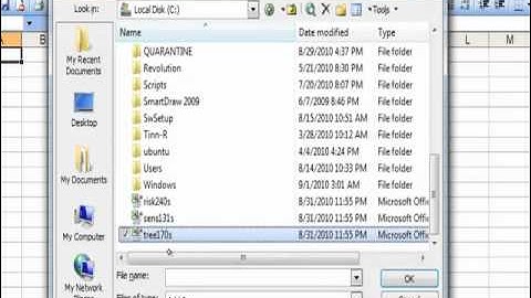 Installing Treeplan, RiskSim, SensIt, and Excel Solver