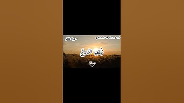 الشيخ: الشيخ الشحات محمد أنور سورة غافر #قرآن #المصحف #قران_كريم #قرآن_الصباح #قران_كريم #الطنطاوي