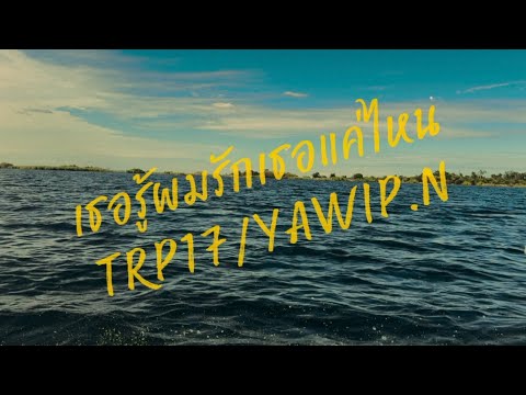 TRP17 - เธอรู้ผมรักเธอแค่ไหน ft.YAWIP.N ( Official Music Video )