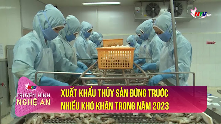 Top 20 doanh nghiệp xuất khẩu thủy sản năm 2023 năm 2024