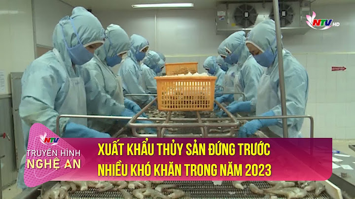 Danh sach top 100 xuat khau thuy san nam 2023 năm 2024