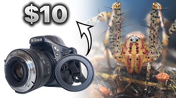 Reverse Lens Macro Photography Tips