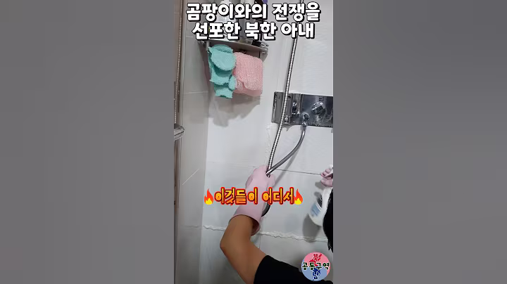곰팡이와의 전쟁을 선포한 북한 아내 #shorts #청소 #화장실청소 #곰팡이 #락스 #윤설미