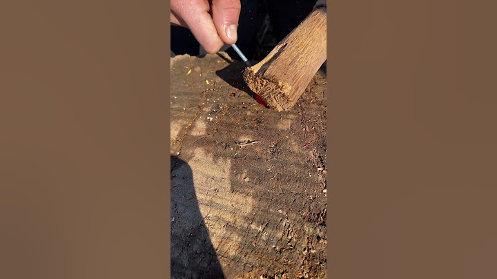 Genius LifeHack for Quick Nut Cleaning with Whole Kernels. #camping #outdoors #survival #bushcraft