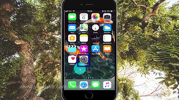How to set screen color filters as Protanopia on iPhone 6