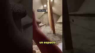 They Found Another House In Their Attic 😳🏠