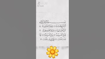 قرآن كريم بصوت القارئ: احمد العجمي|| أجمل حالات واتس اب دينيه || تلاوة خاشعة 🌿