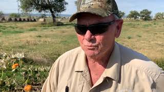 Pumpkin count at the Pennington County Sheriff's Office inmate garden