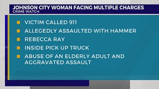 Johnson City woman allegedly assaults 84-year-old with hammer