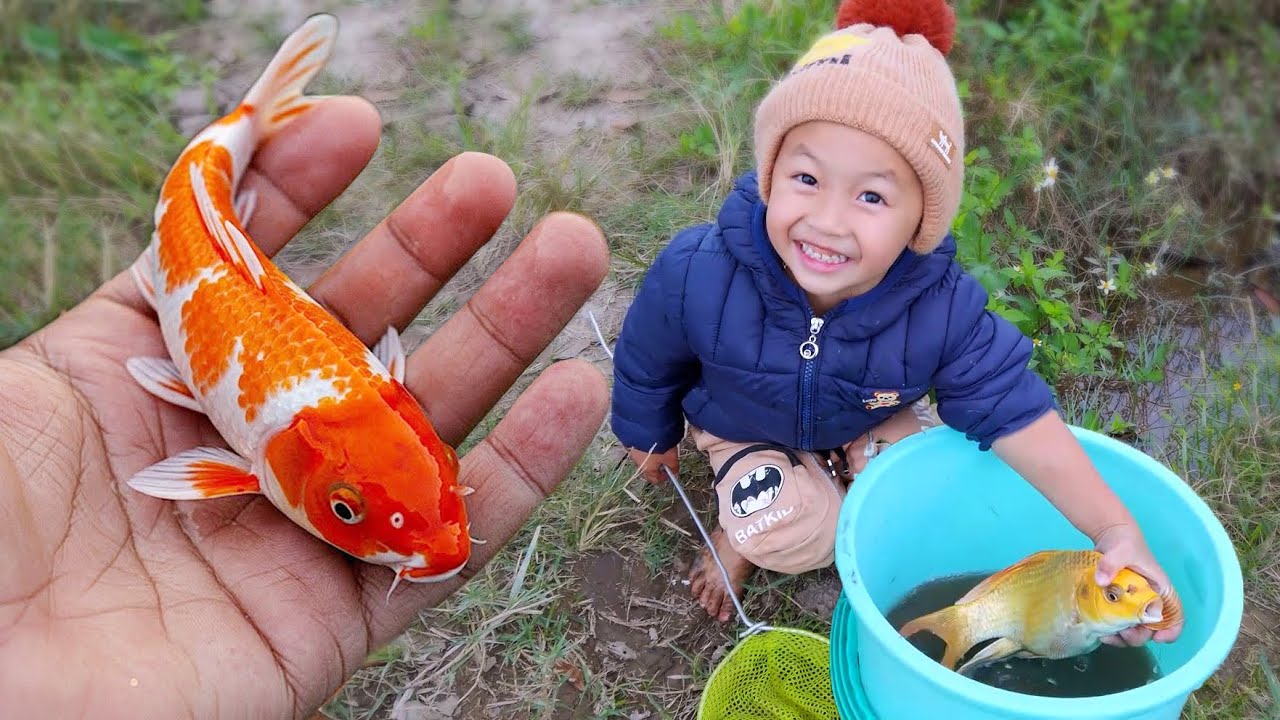 Top 10 video hay nhất em ổi tìm bắt cá vàng tinh nghịch hài hước # ...