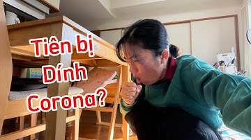 Lo Quá, Không Biết Bị Gì Mà Cơ Thể Sốt Ho Không Còn Sức Lực