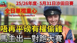 賽馬貼士 5月31日 沙田日馬賽事HKJC 全日單棍重心| 唔再平磅有權偷雞 馬主出一對跑大賽
