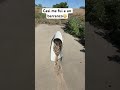 Miren lo que me salió en el camino #rancho