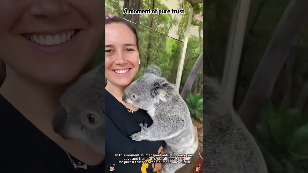 Love makes the world  beautiful.❤️💕 #love #foryoupage #lovestory #animals #humanrights
