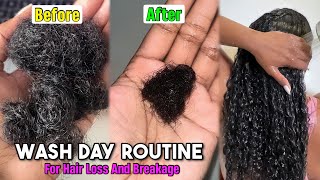 4 Step WASH DAY Routine For Hair Loss And Breakage | Wash Day Tips