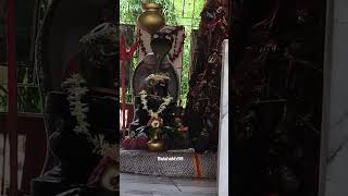 BamBholle @Viruss #Viruss #shorts #bambholle #mahadev #mahakal #youtubeshorts #song #dj #viral