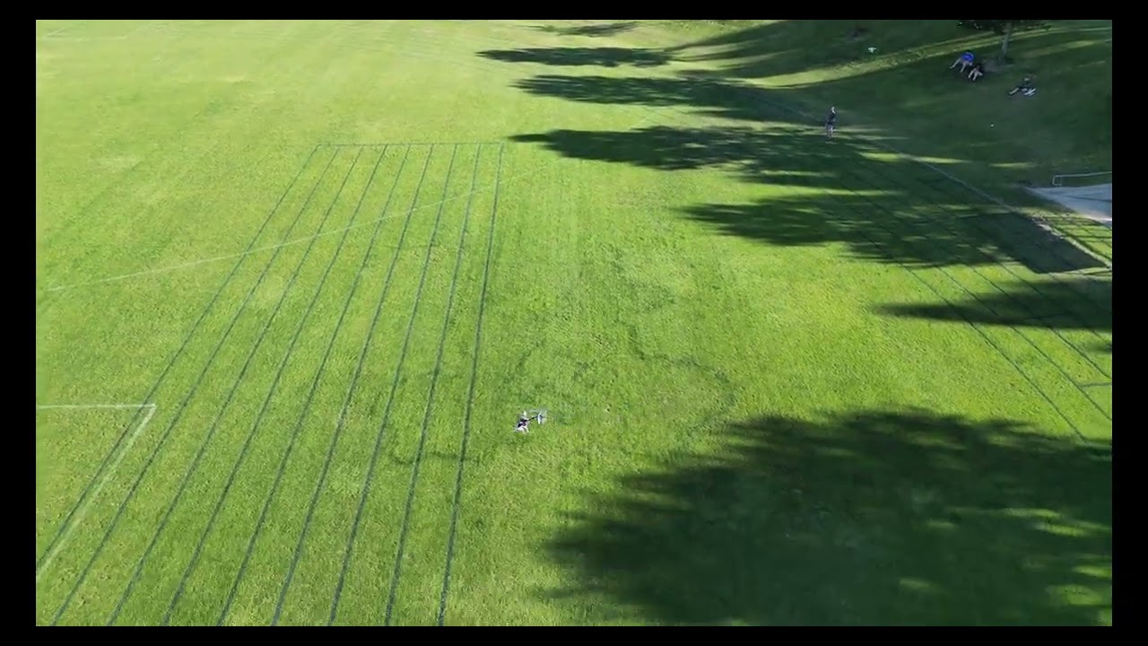 Durafly Vampire and Blade 450X