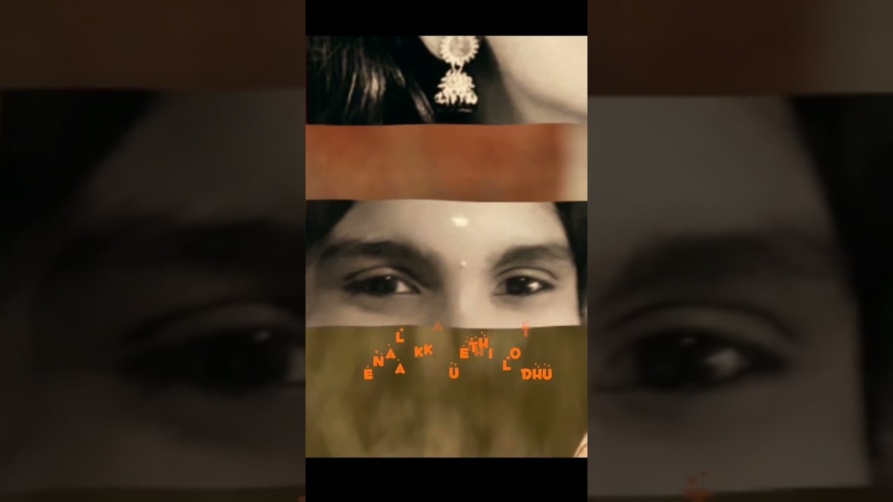 Idiot papa’s…. vlog.  