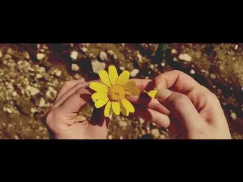 Sturm Wk6 Final Project Found Footage Narrative