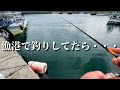 漁港で釣りしてたらミラクル起きてご馳走ゲット