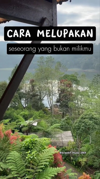Cara Melupakan Orang Yang Kita Sayang #storywa #shorts